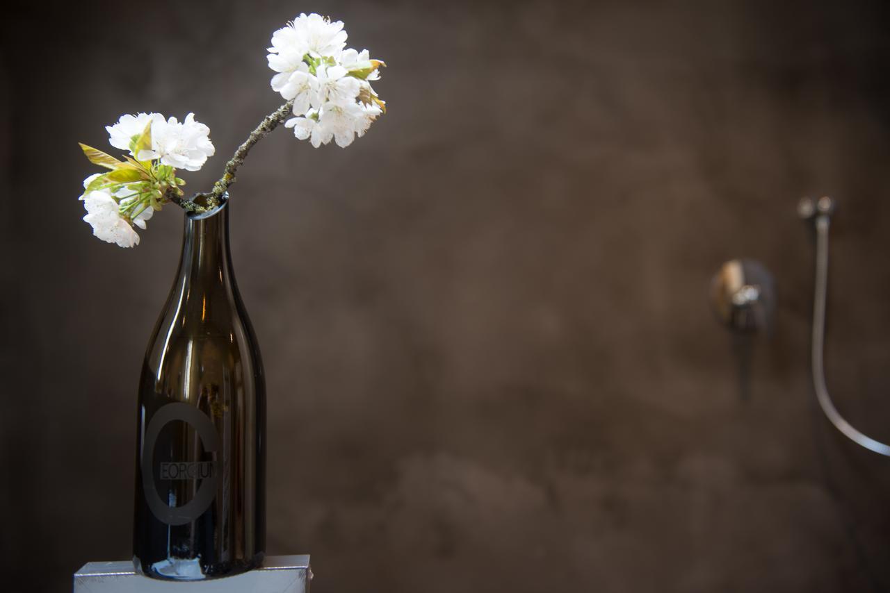 Weingut Georgium Bed and Breakfast Sankt Georgen am Längsee Εξωτερικό φωτογραφία