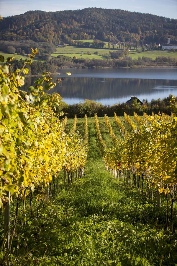 Weingut Georgium Bed and Breakfast Sankt Georgen am Längsee Εξωτερικό φωτογραφία